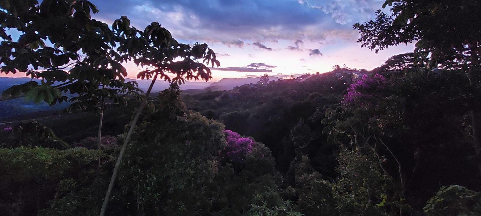 Casa Buena Vista Homestay